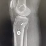 WhatsApp Image 2026-01-16 at 1.37.02 PM