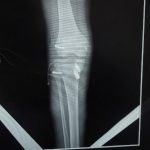 WhatsApp Image 2026-01-16 at 1.37.54 PM