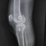 WhatsApp Image 2026-01-16 at 1.40.18 PM (1)