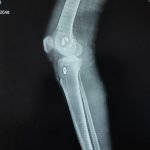 WhatsApp Image 2026-01-16 at 1.40.20 PM